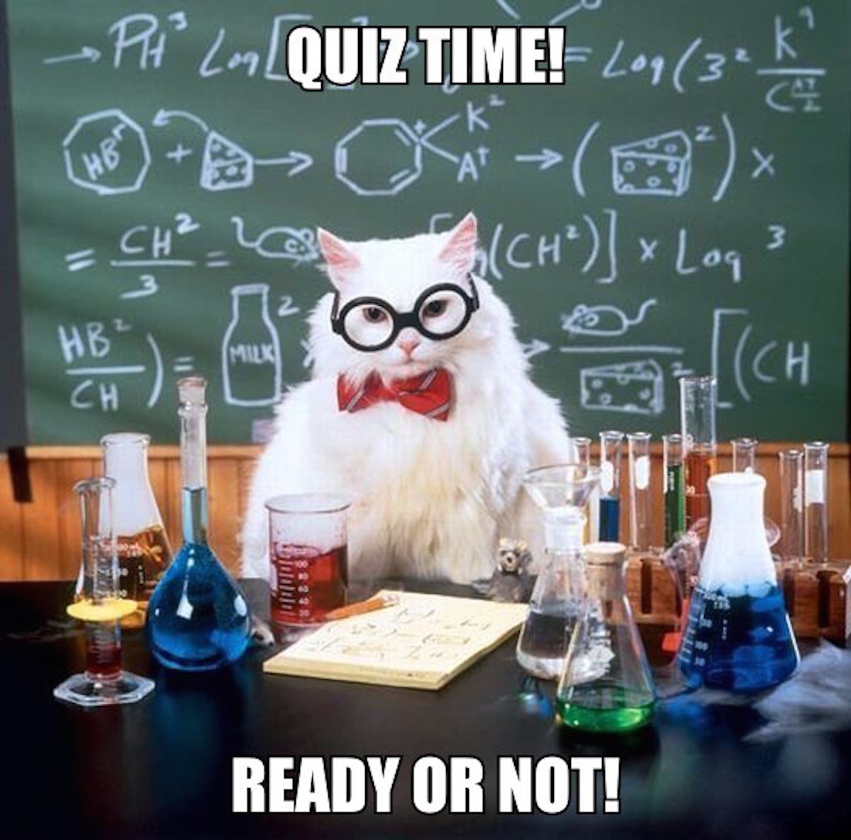 It's QUIZ TIME :D