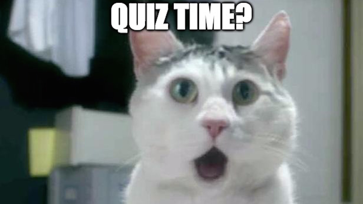 Mehr über den Artikel erfahren Quiz time #05