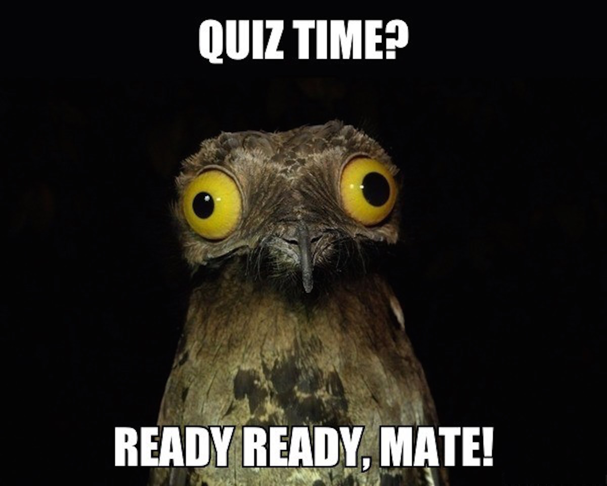 It's QUIZ TIME :D