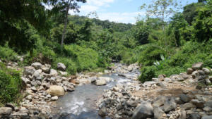 Fluss am Weg Richtung Berge