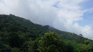 Wolken und Wald