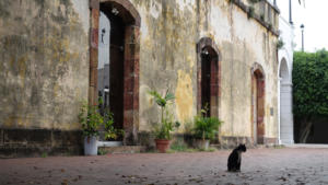 Plaza de Francia - mit Katze     