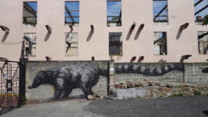 Street-Art - Nasenbär