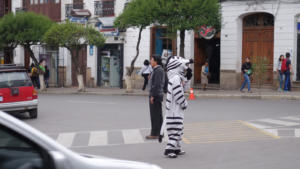 Zebra auf dem Streifen