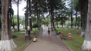 Park