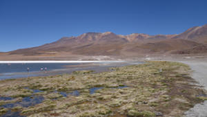 Lagune und Berge