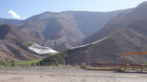 Weinanbau im Elqui Tal - 1