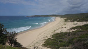 Wieder leerer Strand