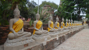 Buddhas 