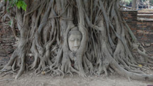 Buddhagesicht im Baum 