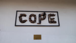 Cope Center - 1