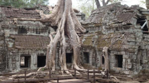 Ta Prohm - 3