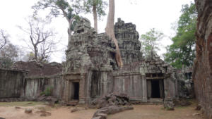 Ta Prohm - 11 