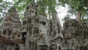 Ta Prohm - 12 