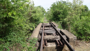 Bamboo Train - 3