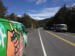 Ausblick am Tongariro mit Schneeberg